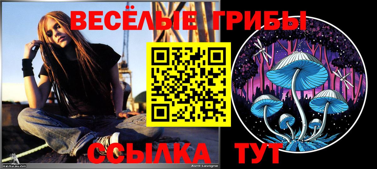 Псилоцибиновые грибы Psilocybe  Псилоцибиновые грибы Magic Shrooms  Раменское  купить наркоту  Вход с VPN 